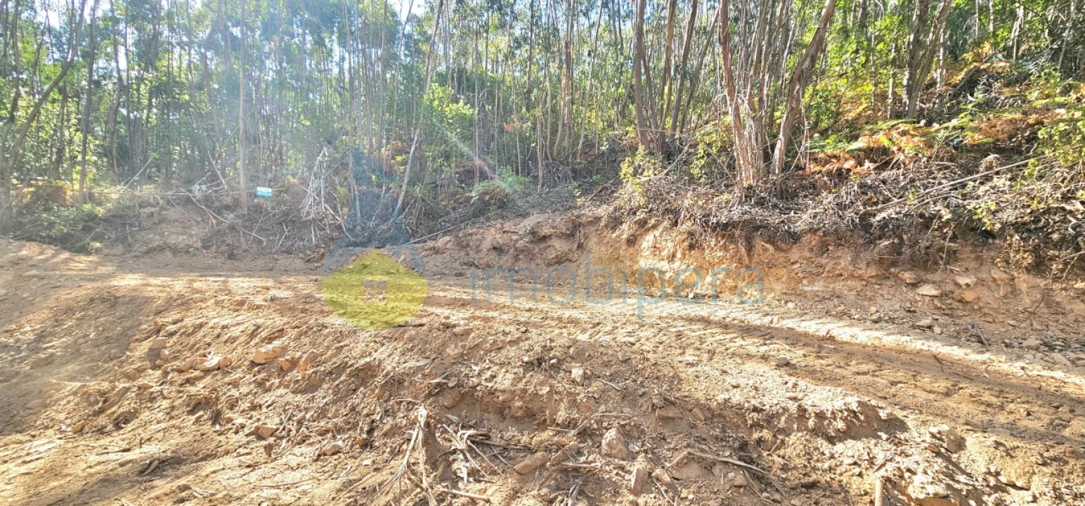Terreno para Venda em Monchique Foto 5