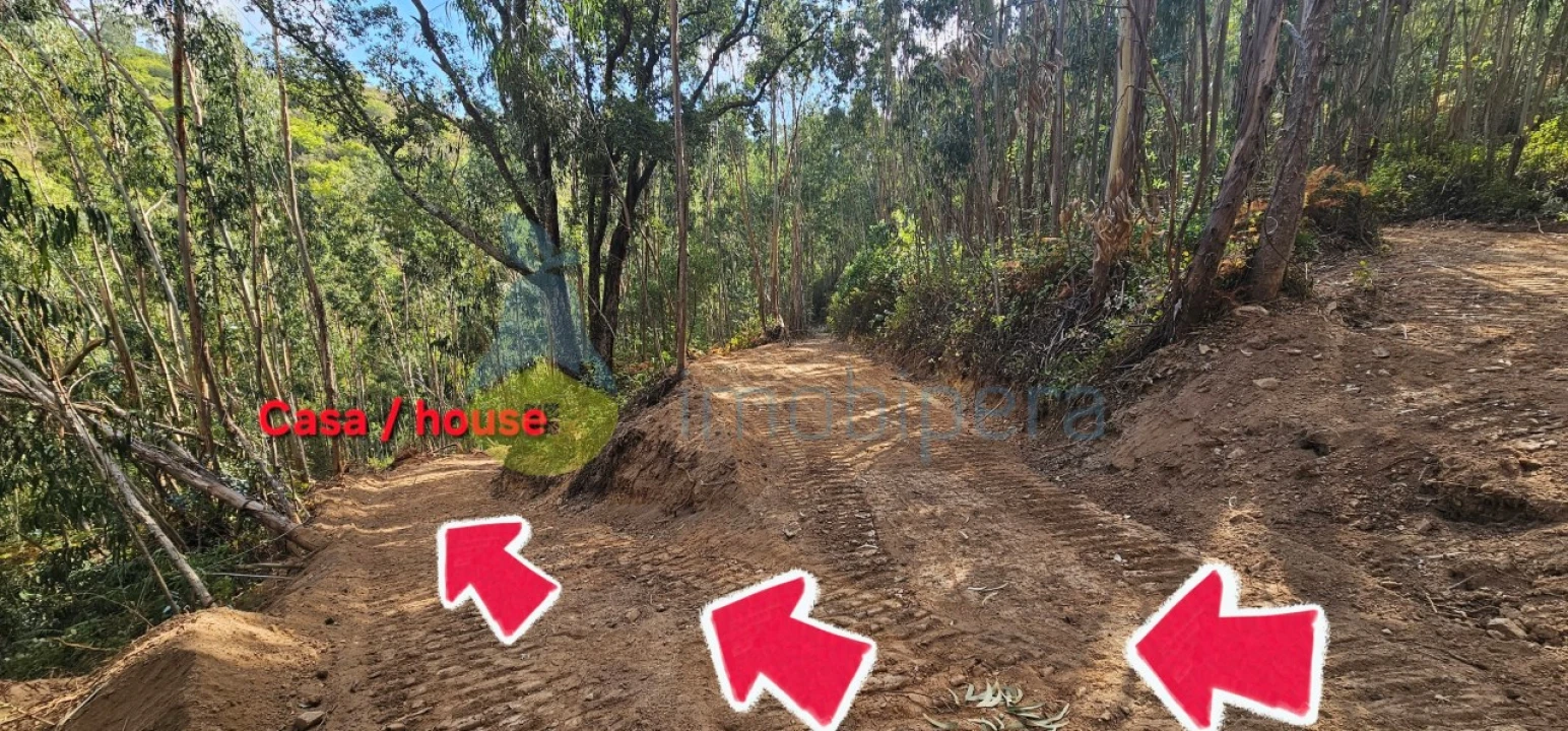 Terreno para Venda em Monchique Foto 3