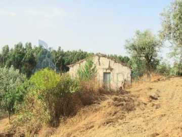 Terreno para Venda em Monchique