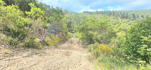 Terreno para Venda em Monchique