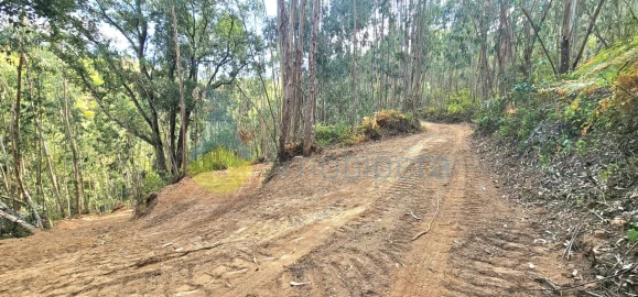 Terreno para Venda em Monchique