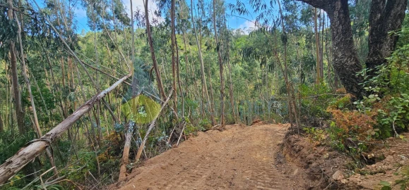 Terreno para Venda em Monchique