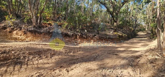 Terreno para Venda em Monchique