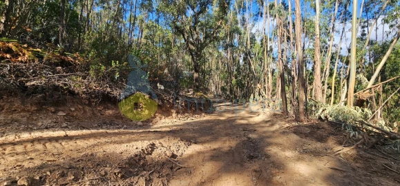 Terreno para Venda em Monchique