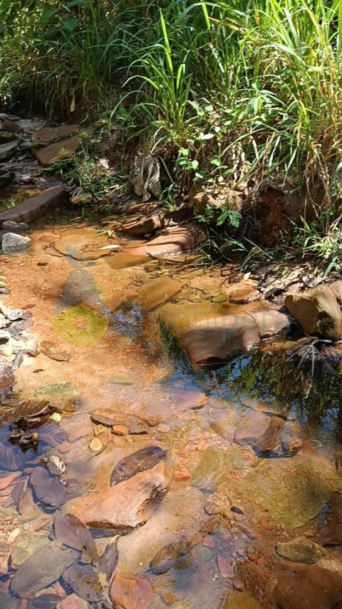 Terreno para Venda em Monchique