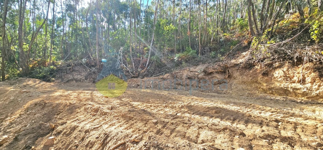 Terreno para Venda em Monchique Foto 2
