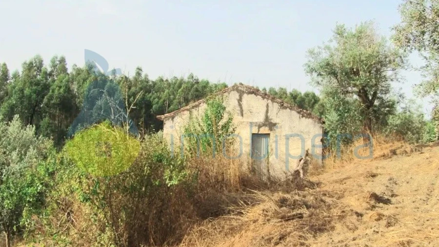 Terreno para Venda em Monchique
