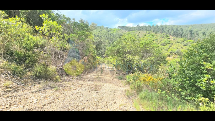 Terreno para Venda em Monchique