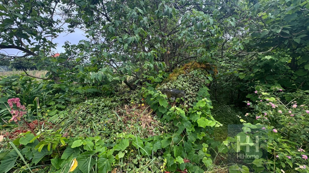 Terreno para Venda em Arco de São Jorge Foto 7