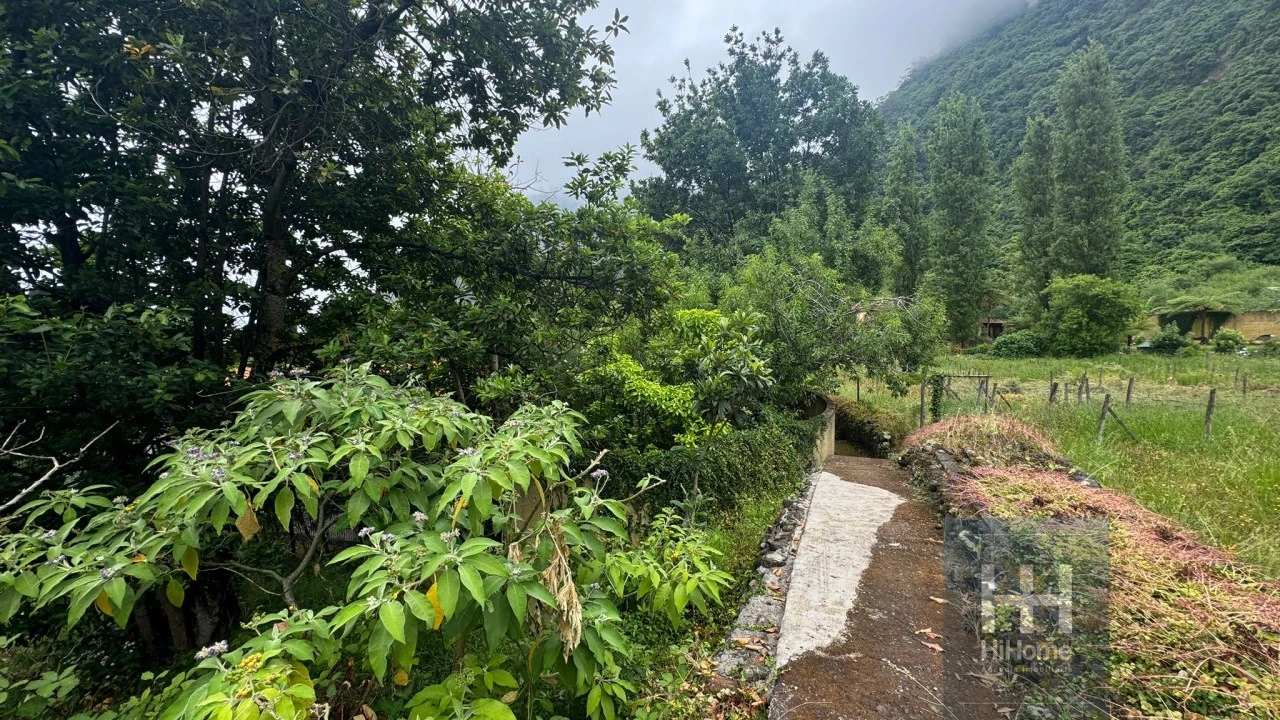 Terreno para Venda em Arco de São Jorge Foto 13