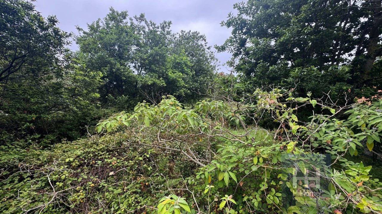 Terreno para Venda em Arco de São Jorge Foto 14
