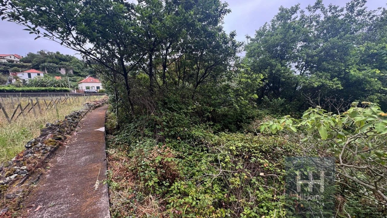 Terreno para Venda em Arco de São Jorge Foto 15