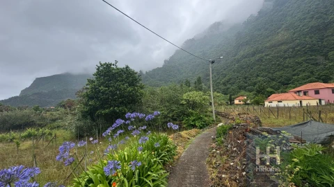 Terreno para Venda em Arco de São Jorge