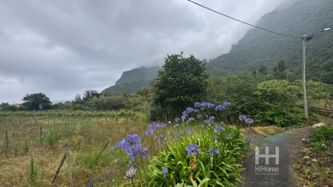 Terreno para Venda em Arco de São Jorge
