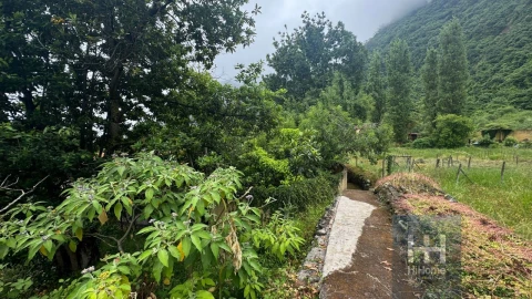 Terreno para Venda em Arco de São Jorge
