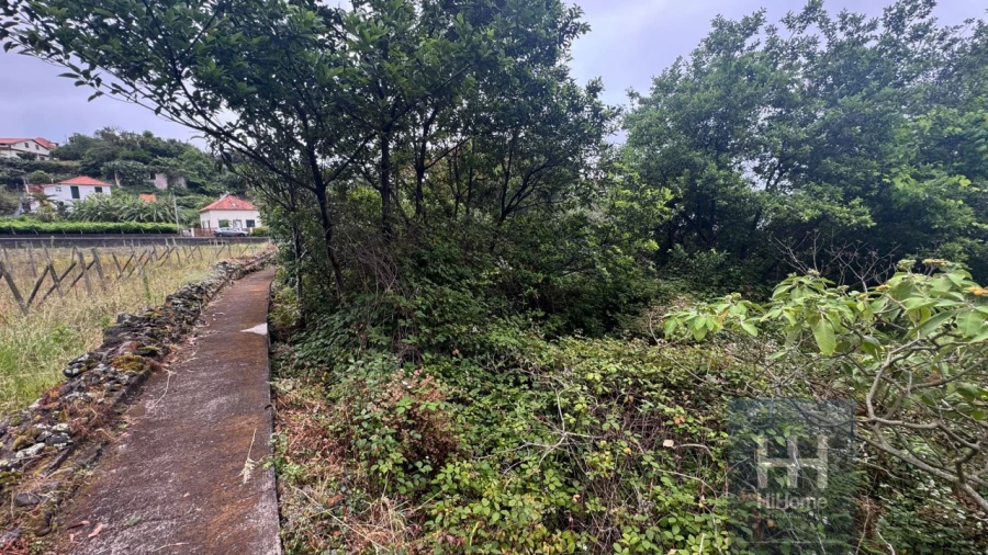 Terreno para Venda em Arco de São Jorge Foto 15
