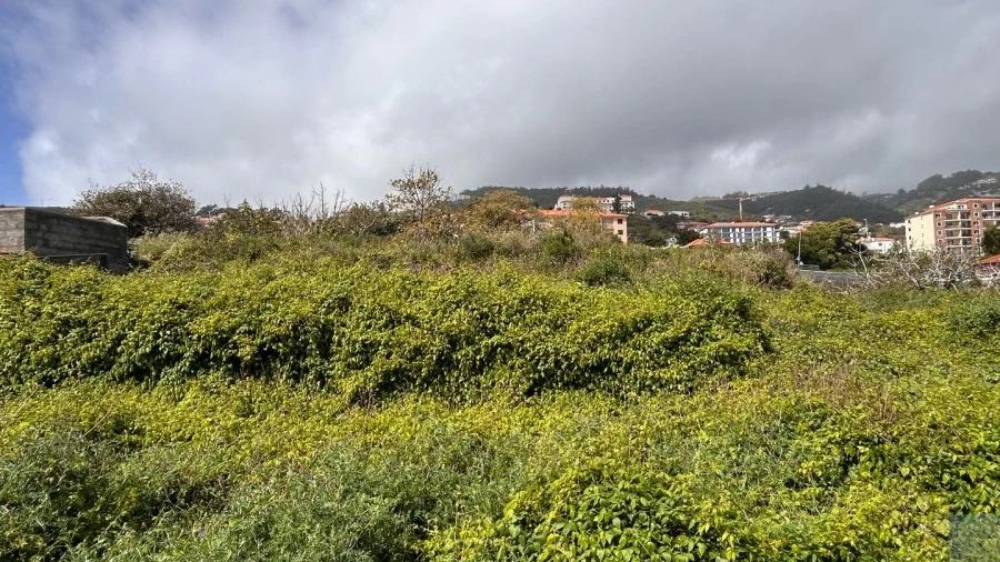 Terreno para Venda em Caniço