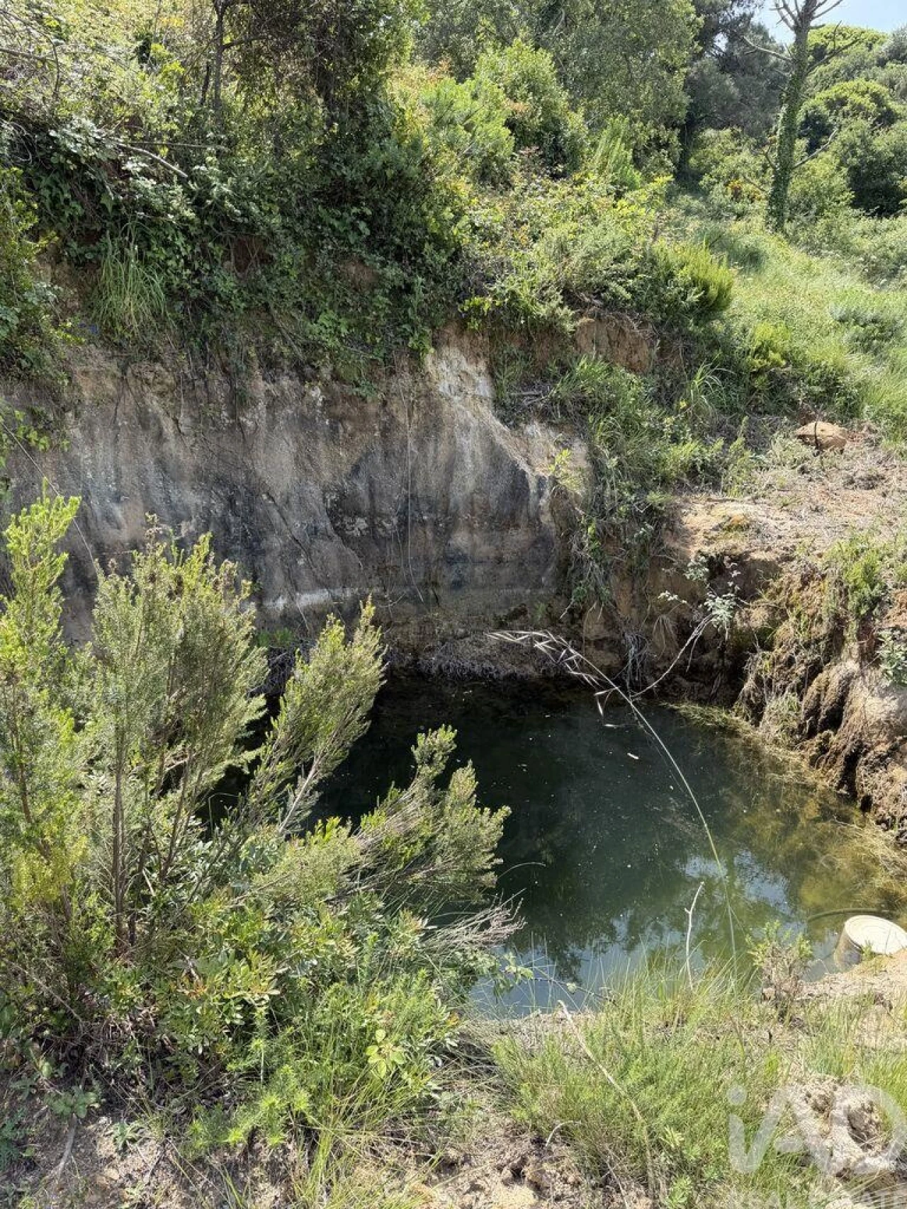 Terreno para Venda em Santo Isidoro Foto 3