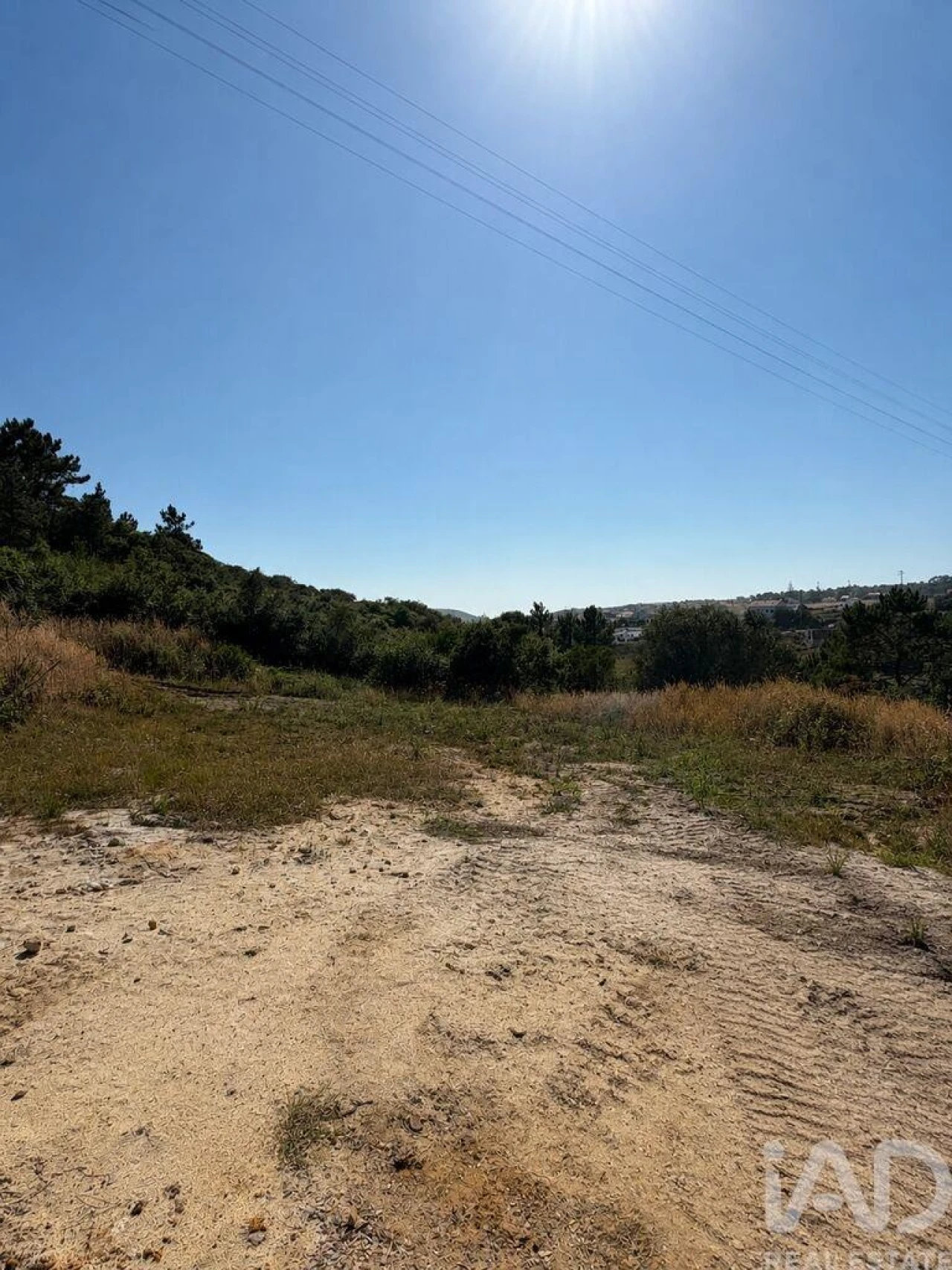 Terreno para Venda em Santo Isidoro Foto 6