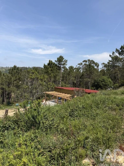 Terreno para Venda em Santo Isidoro