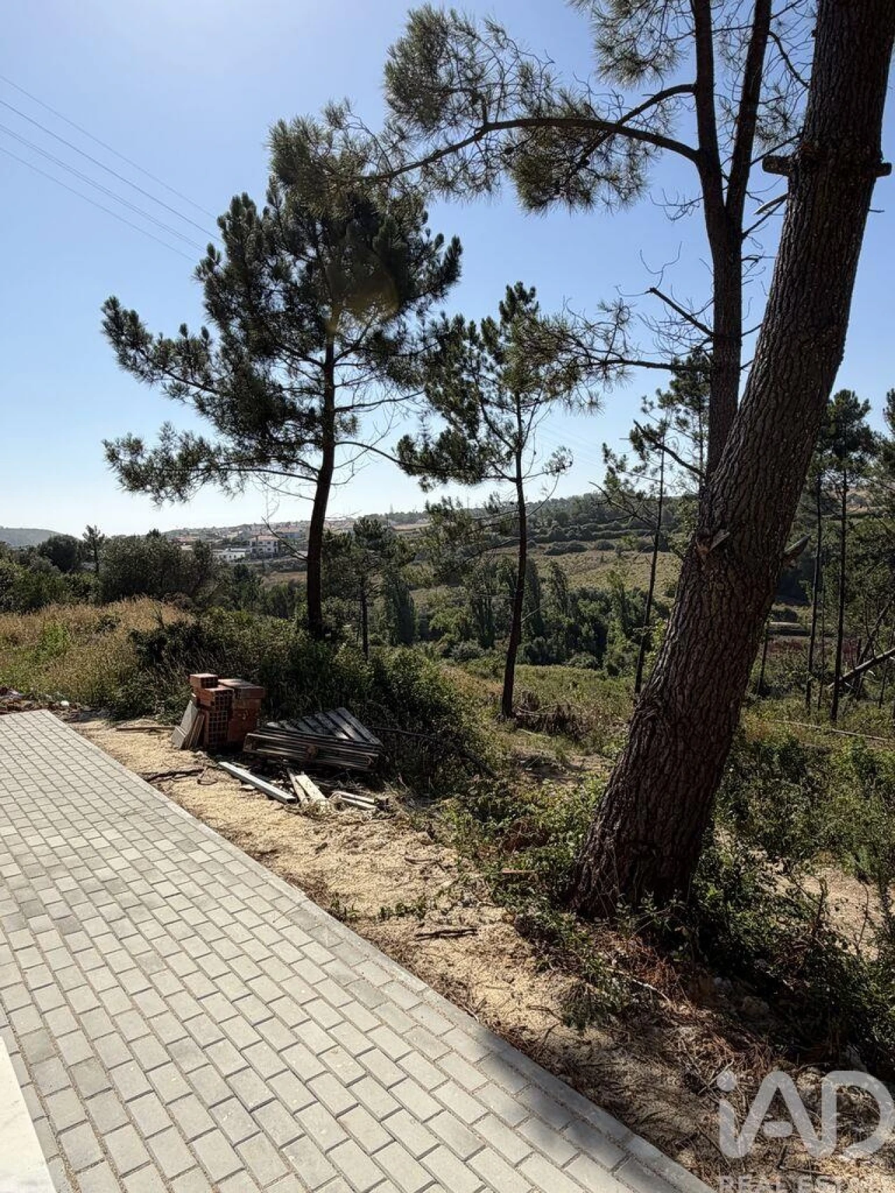 Terreno para Venda em Santo Isidoro Foto 9