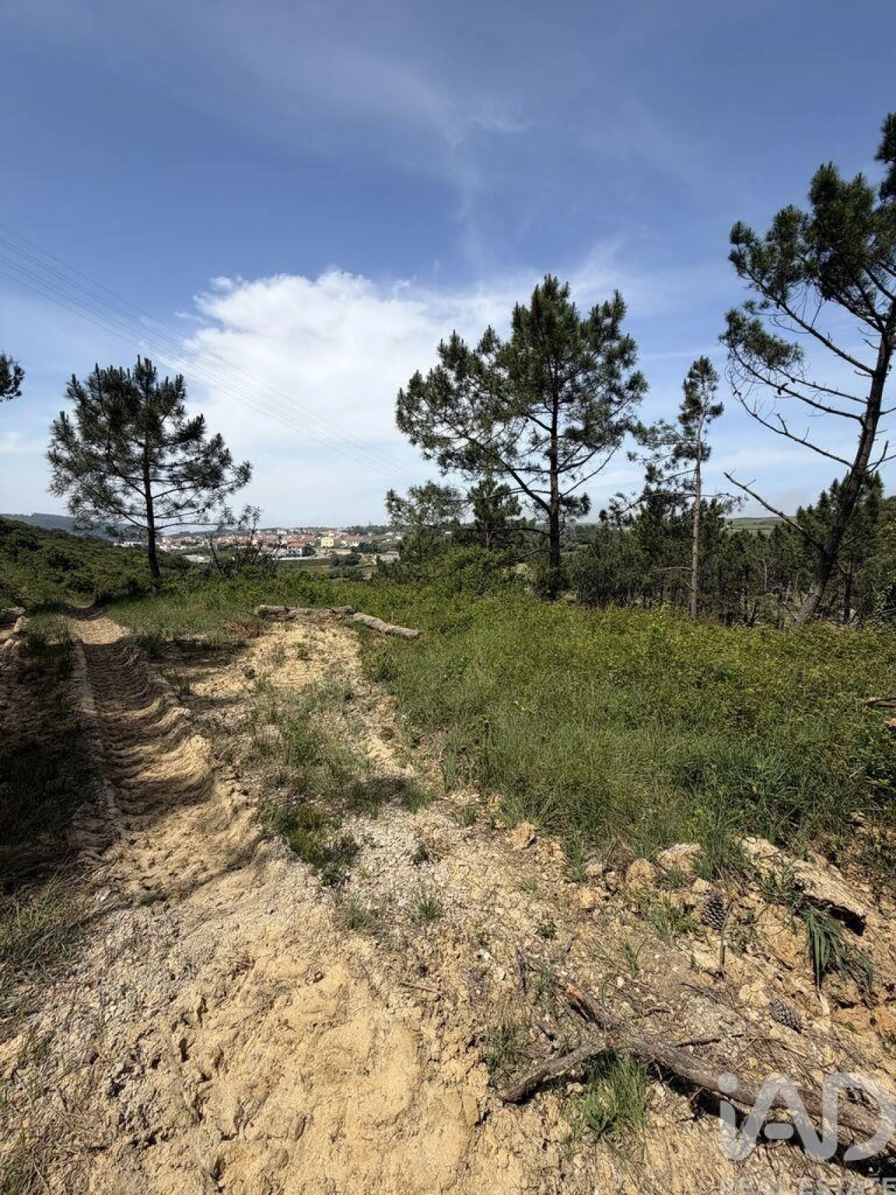 Terreno para Venda em Santo Isidoro Foto 4