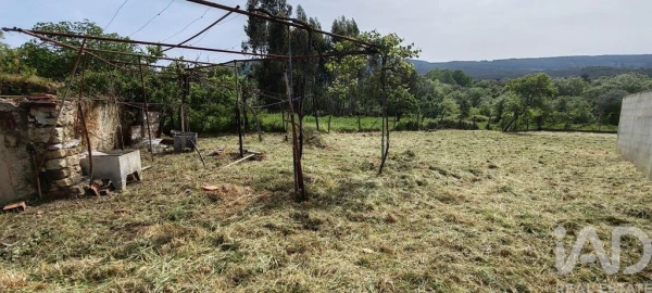 Moradia para Venda em Avelar