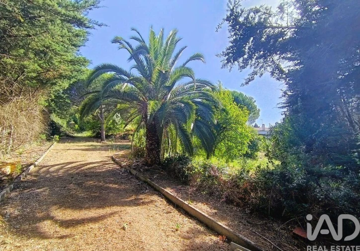 Moradia T2 para Venda em Alenquer (Santo Estêvão e Triana) Foto 9