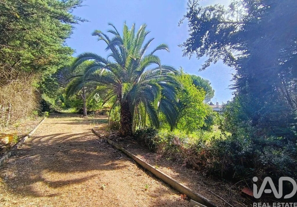 Moradia T2 para Venda em Alenquer (Santo Estêvão e Triana) Foto 9