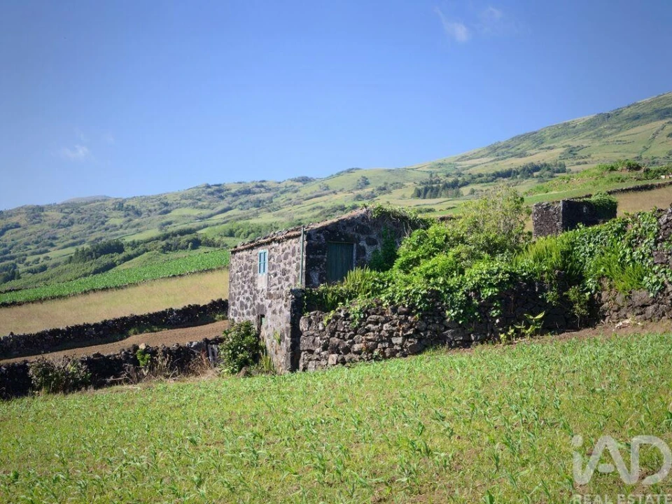Terreno para Venda em Lajes do Pico Foto 11