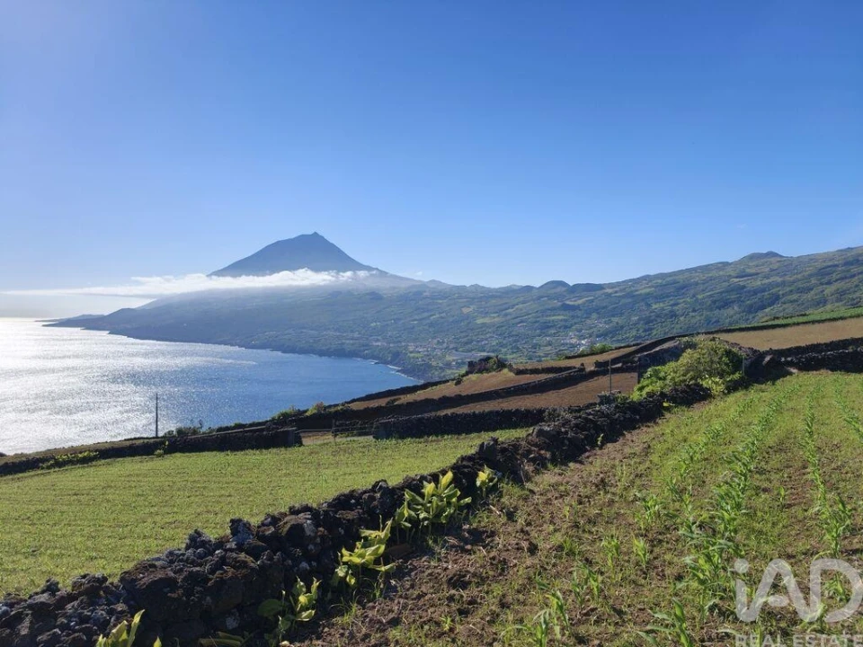 Terreno para Venda em Lajes do Pico Foto 17
