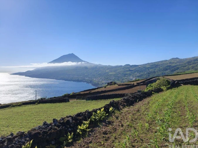 Terreno para Venda em Lajes do Pico Foto 17