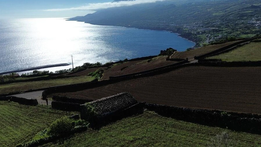 Terreno para Venda em Lajes do Pico