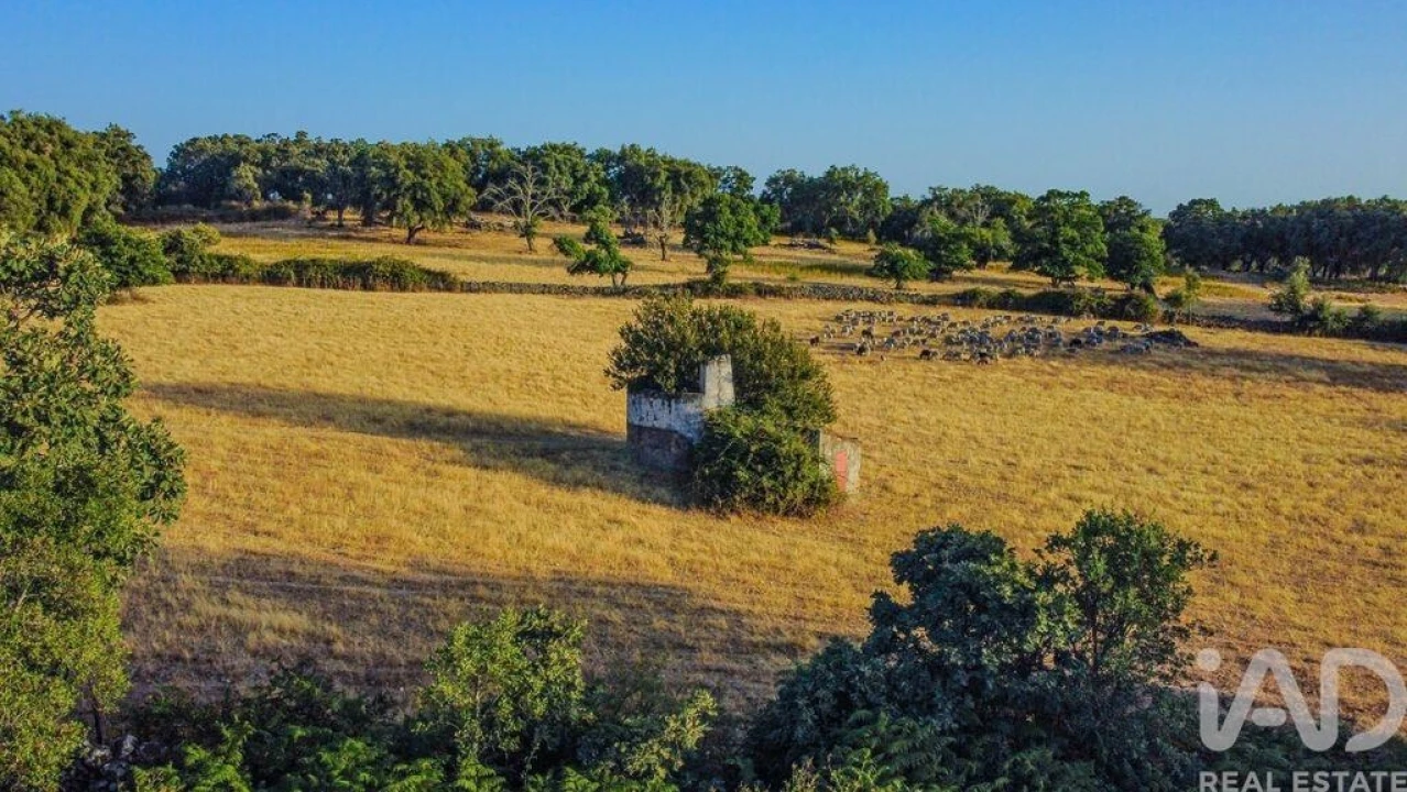 Quinta T3 para Venda em São Salvador da Aramenha Foto 5