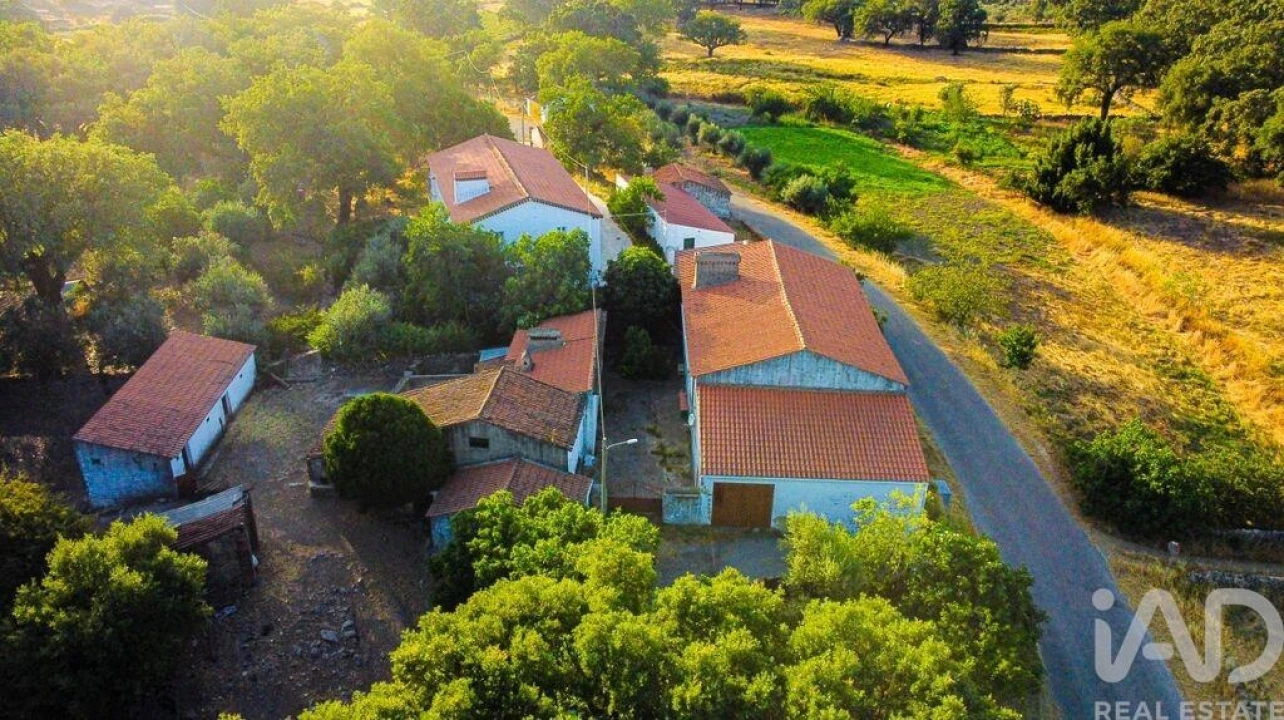 Quinta T3 para Venda em São Salvador da Aramenha Foto 4