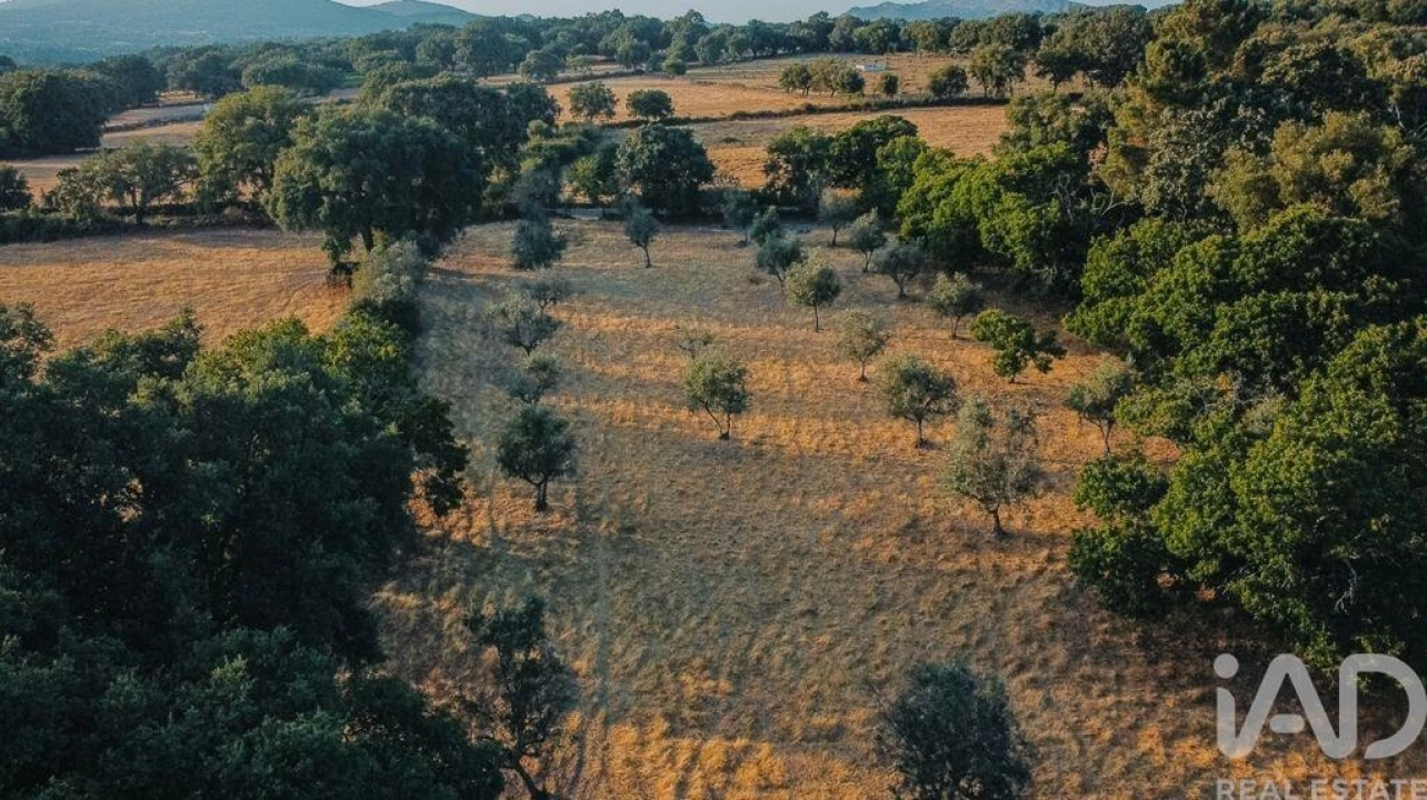 Quinta T3 para Venda em São Salvador da Aramenha Foto 10