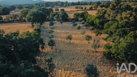 Quinta T3 para Venda em São Salvador da Aramenha