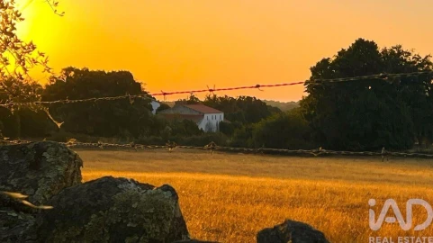 Quinta T3 para Venda em São Salvador da Aramenha