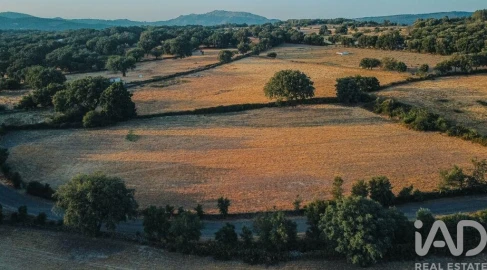 Quinta T3 para Venda em São Salvador da Aramenha