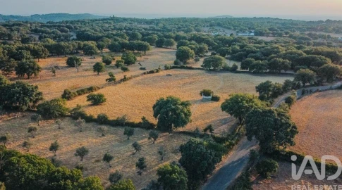 Quinta T3 para Venda em São Salvador da Aramenha