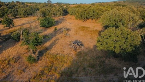 Quinta T3 para Venda em São Salvador da Aramenha