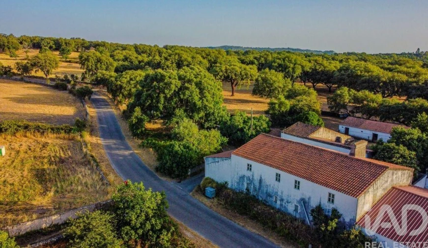 Quinta T3 para Venda em São Salvador da Aramenha Foto 2