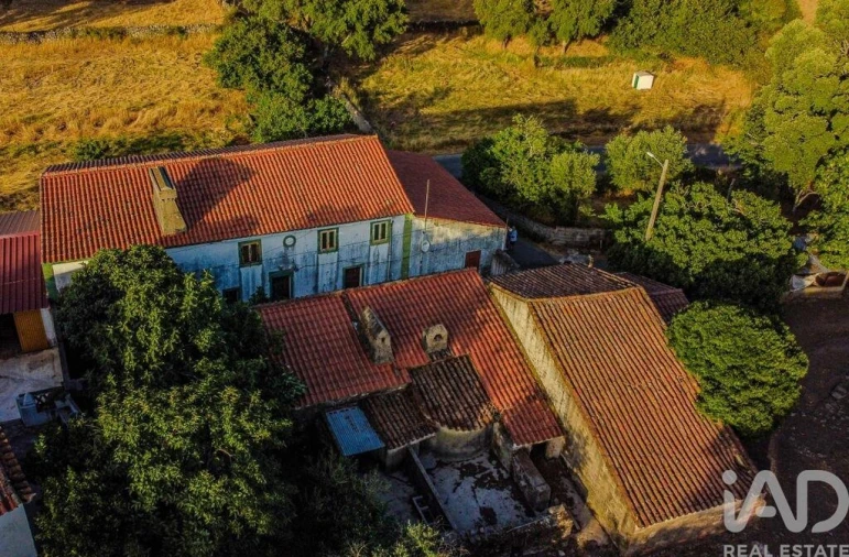Quinta T3 para Venda em São Salvador da Aramenha Foto 3