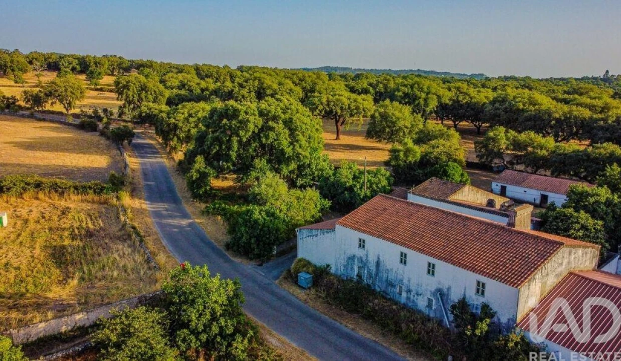 Quinta T3 para Venda em São Salvador da Aramenha Foto 2