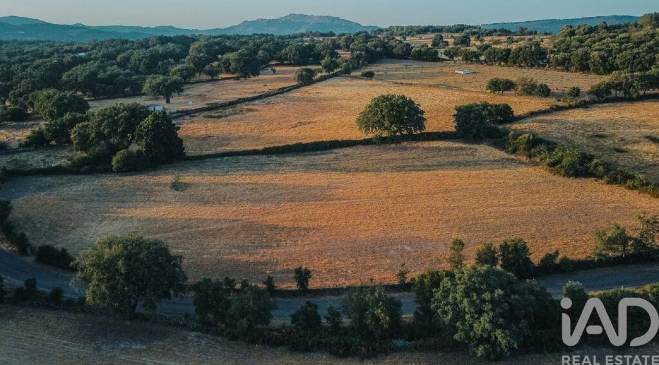 Quinta T3 para Venda em São Salvador da Aramenha Foto 12