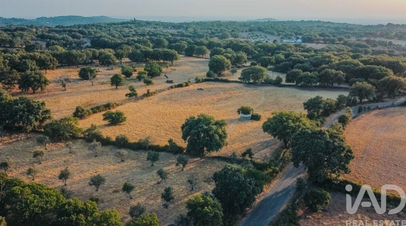 Quinta T3 para Venda em São Salvador da Aramenha Foto 11