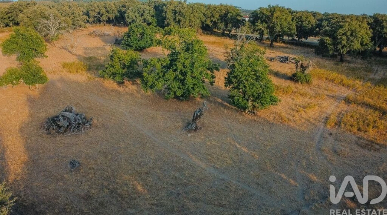 Quinta T3 para Venda em São Salvador da Aramenha Foto 7