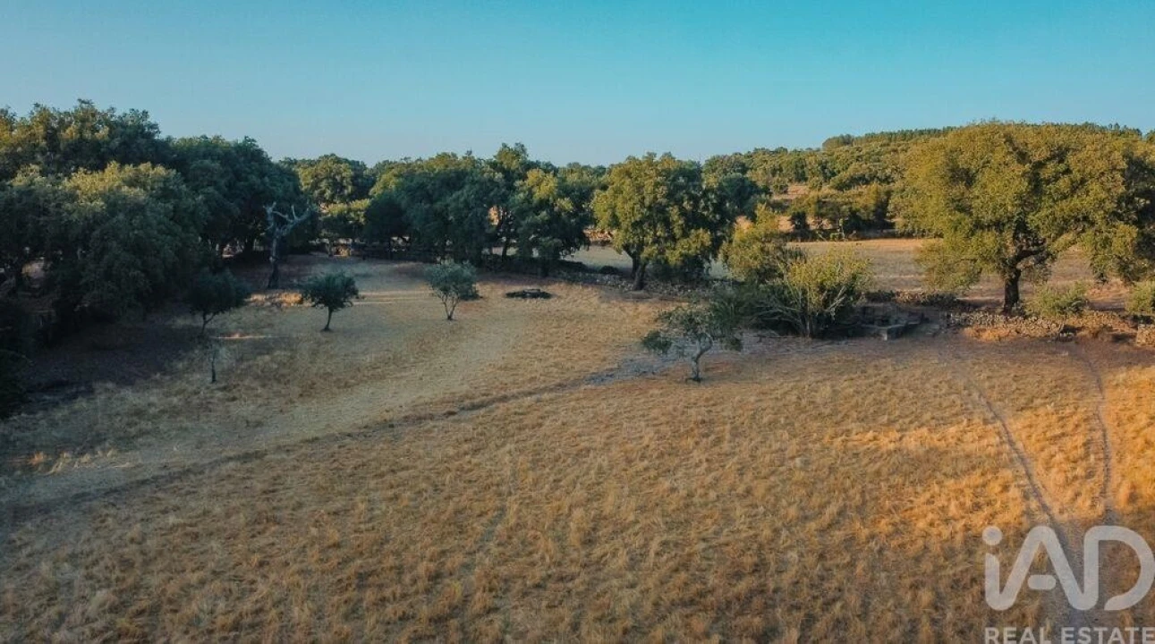 Quinta T3 para Venda em São Salvador da Aramenha Foto 6