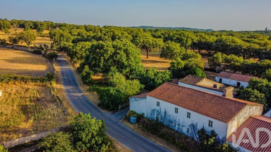 Quinta T3 para Venda em São Salvador da Aramenha