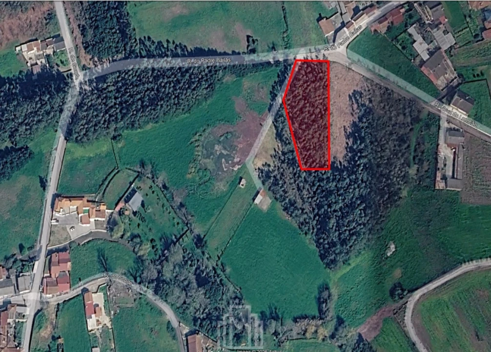 Terreno para Venda em Avanca Foto 1